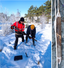 Vignette illustrant cette actualité