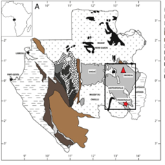 Vignette illustrant cette actualité
