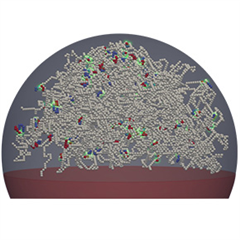 Image illustrant cette actualité