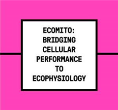 Vignette illustrant cette actualité