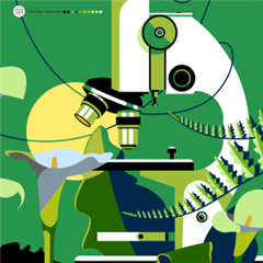 Vignette illustrant cette actualité