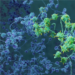 Vignette illustrant cette actualité