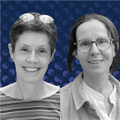 Image illustrant cette actualité