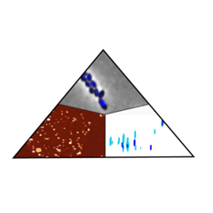 Vignette illustrant cette actualité