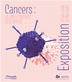 Vignette illustrant cette actualité