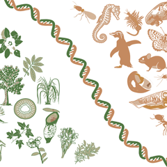 Image illustrant cette actualité