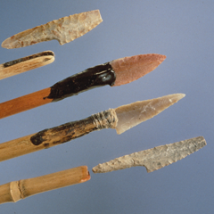 Image illustrant cette actualité