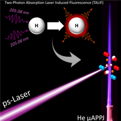 Vignette