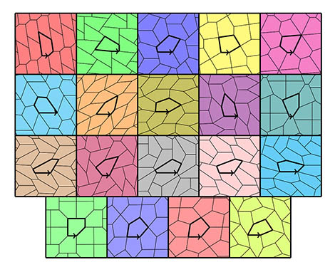 Les 15 types de pavages pentagonaux et leurs 4 types particuliers.