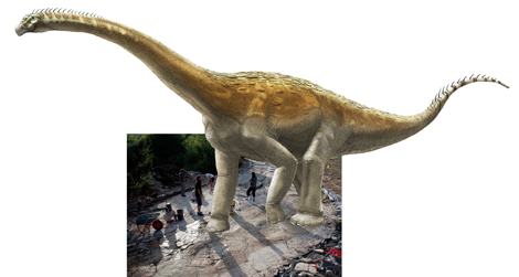 Si le sauropode de Plagne marchait dans ses empreintes…