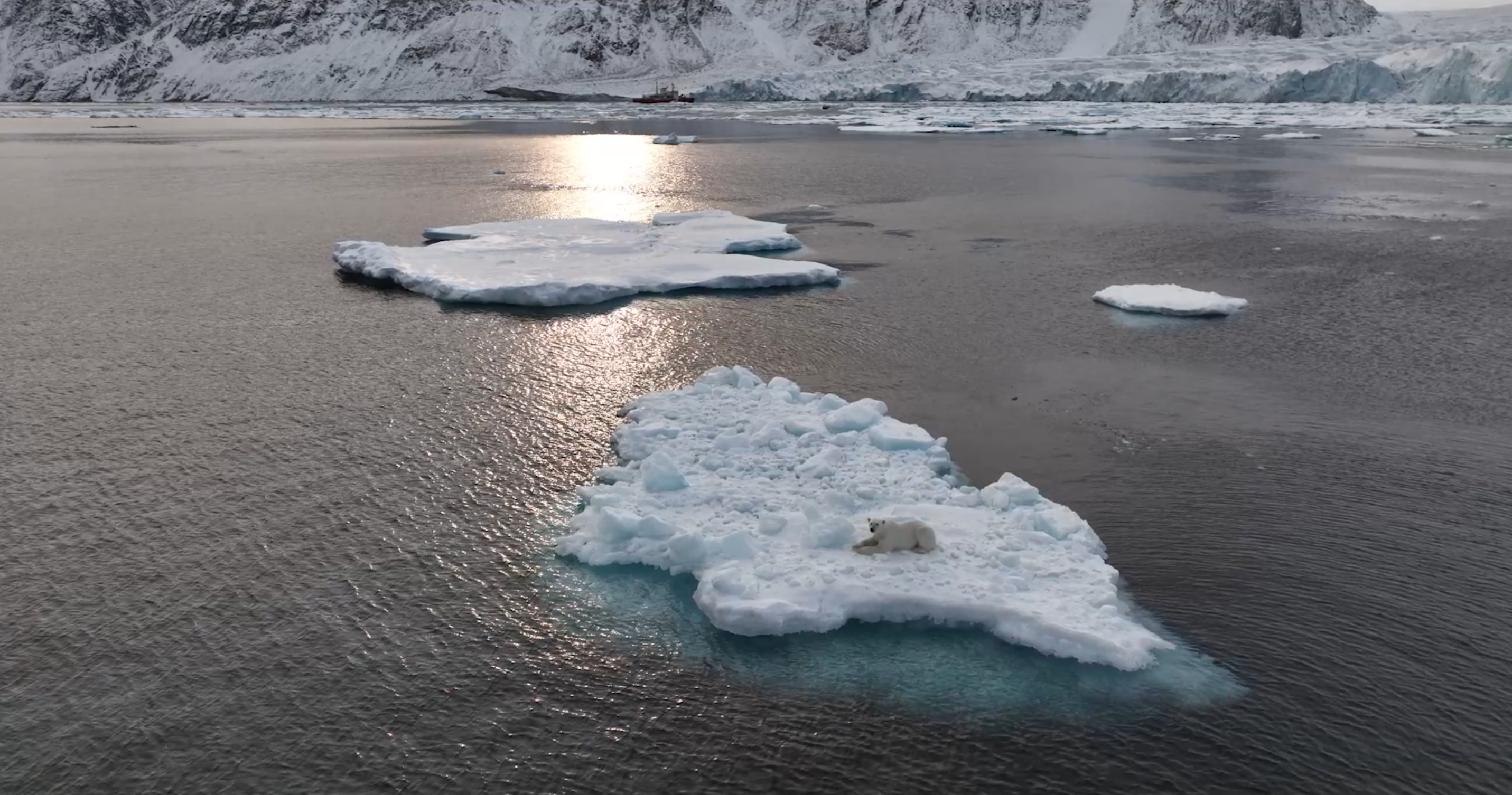 un paysage de mer avec quelques petits icebergs. Au premier plan, un ours polaire est installé sur un iceberg très plat. Au fond, on voit une falaise d'un immense glacier devant laquelle se trouve un brise-glace rouge