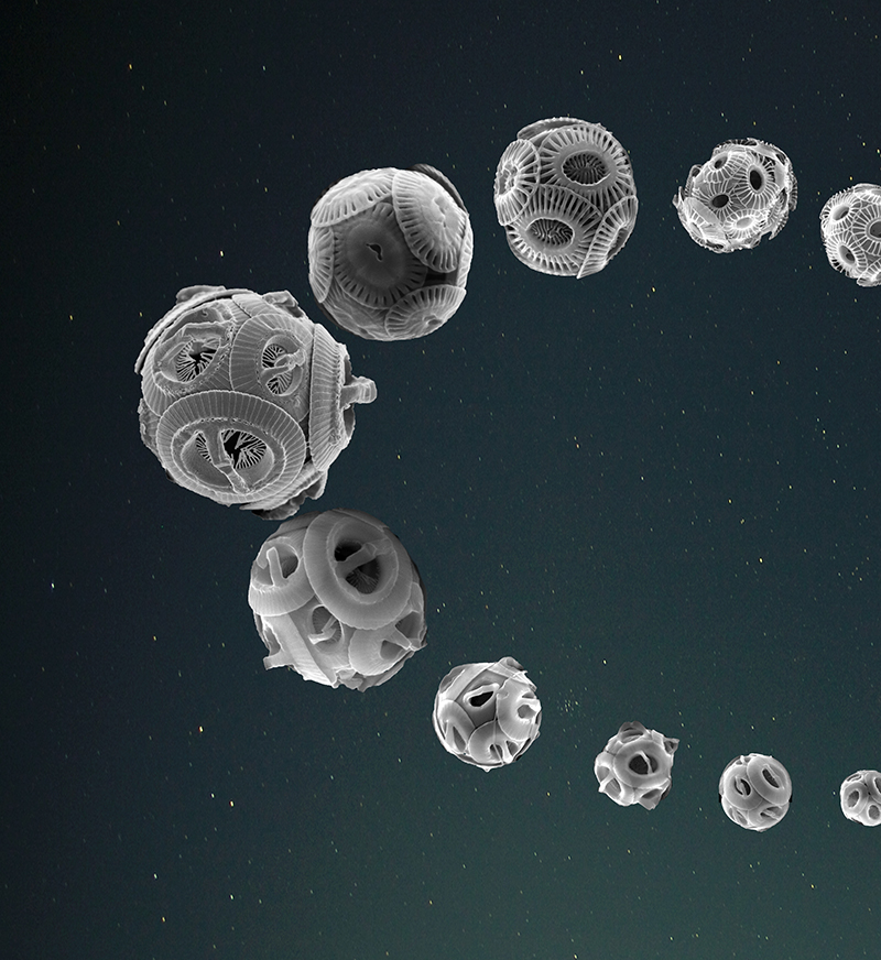 Montage photo : coccolithophores traçant la forme d'une orbite, sur fond étoilé. 