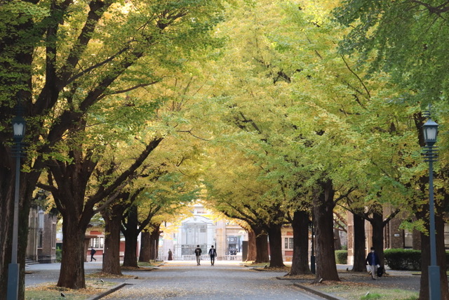 Deux étudiants sous des arbres sur un campus universitaire japonais