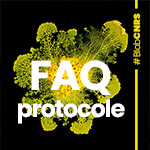 vignette FAQ protocole