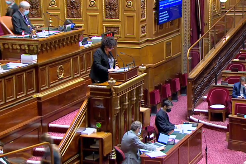 La ministre Frédérique Vidal  défend le projet de loi au Sénat (Commission mixte paritaire, séance publique du 20 novembre 2020 matin). 