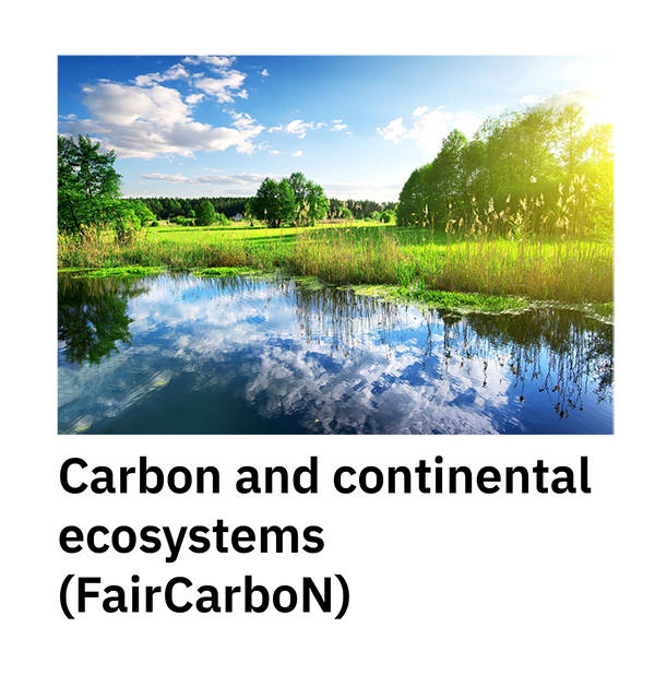 Carbon and continental ecosystems (FairCarboN)