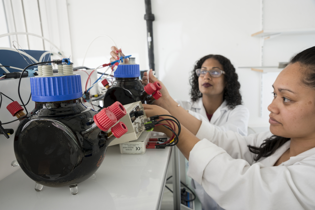 Formation d'un biofilm électroactif à partir de terreau de jardin