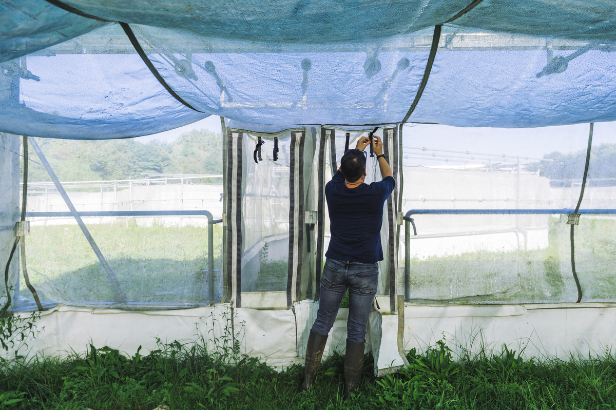 Homme fermant une porte d'un espace clos rempli de plantes