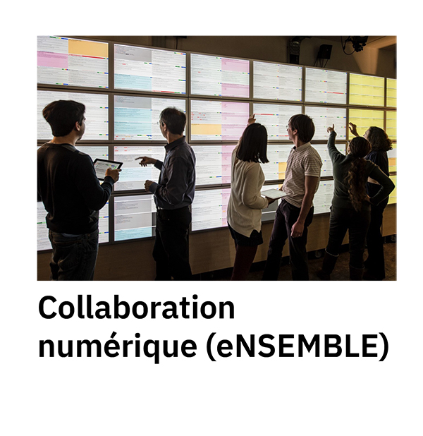eNSEMBLE