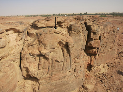 High relief of standing dromedary on sandstone spur at center of image.