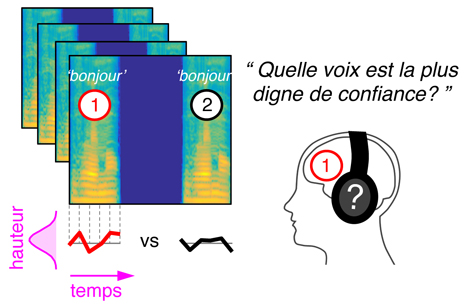 Méthodologie utilisée pour accéder aux « représentations mentales » de l'intonation dans la voix. 