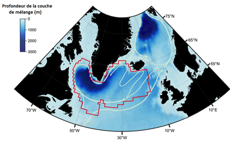Représentation schématique de la circulation dans la mer du Labrador, au cœur du gyre subpolaire schématisé par le contour rouge.