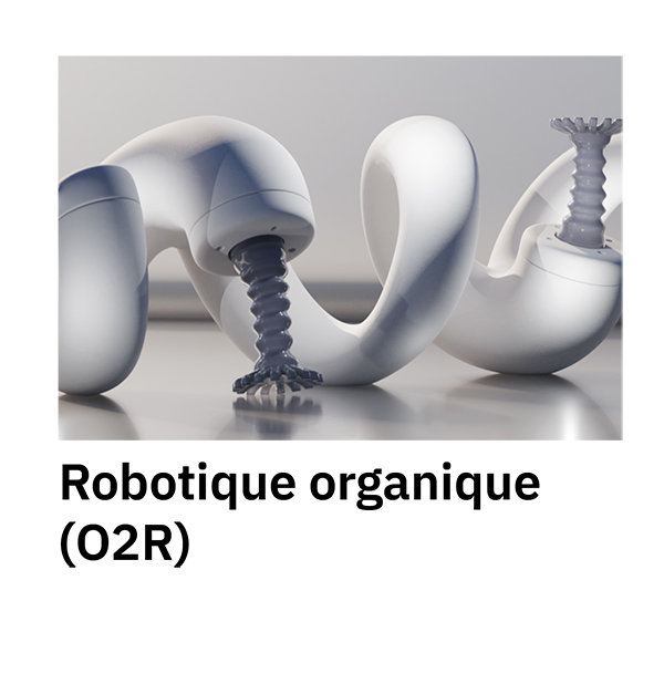 Robotique organique (O2R)