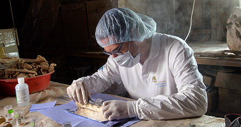 Ludovic Orlando prélevant des échantillons sur les restes d'un cheval de Botai, Kazakhstan, août 2016.