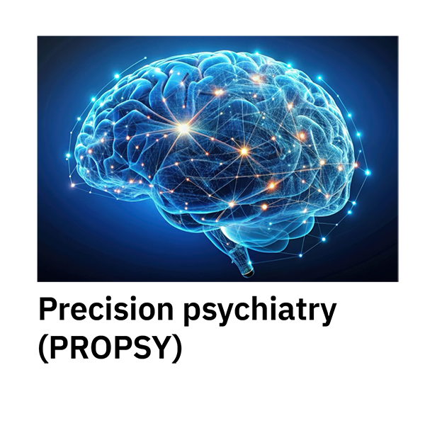 Precision psychiatry (PROPSY)