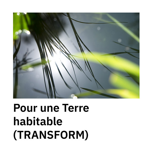 Transform