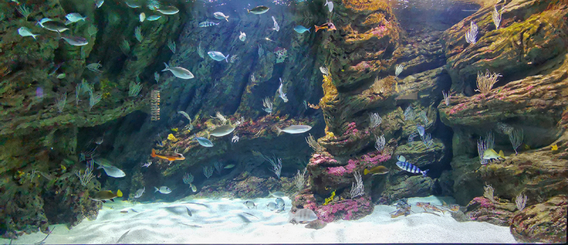 L'aquarium public du Biodiversarium
