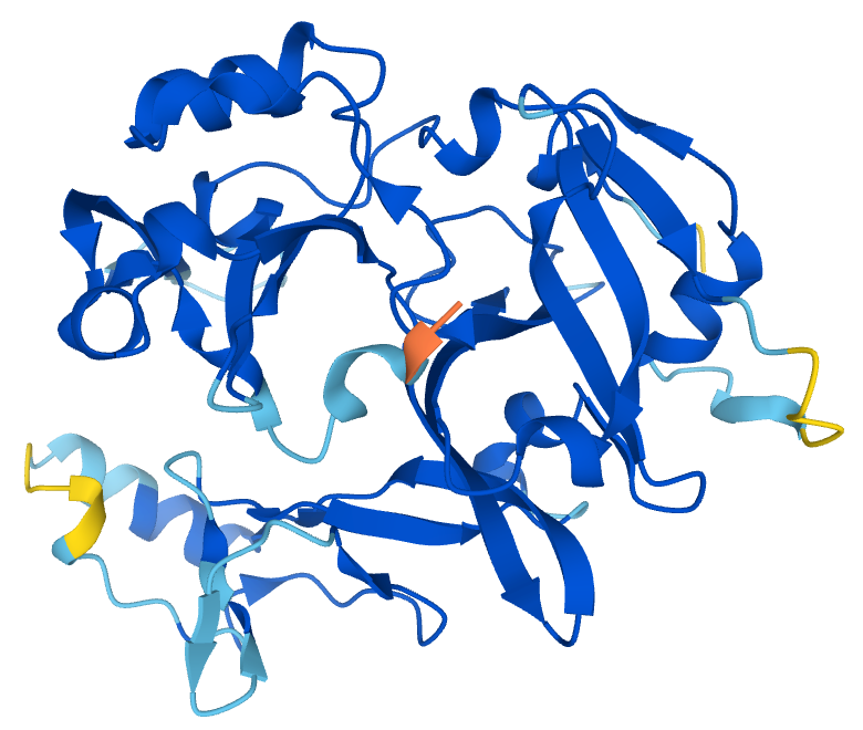 Modélisation de la structure d'une protéine par le logiciel AlphaFold