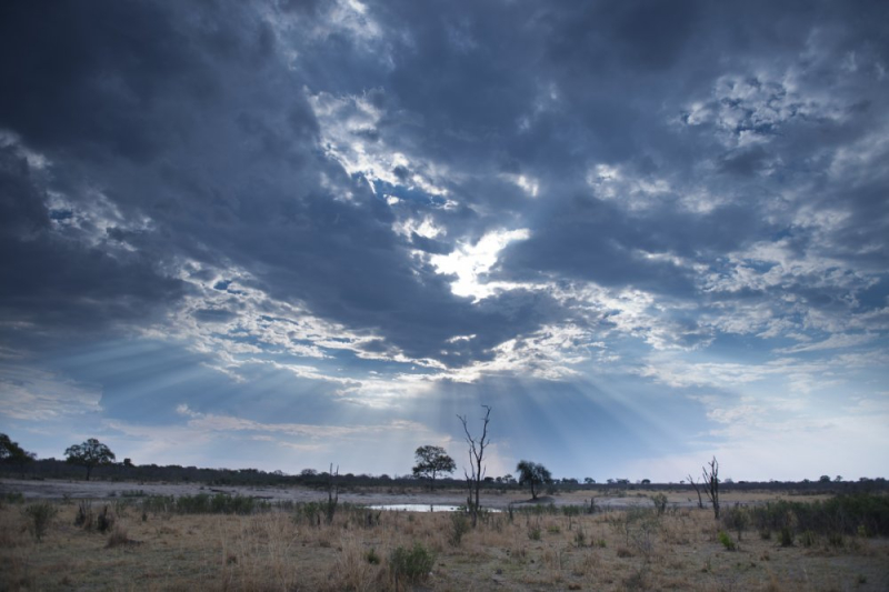 Vue d'un point d'eau dans le parc national de Hwange, au Zimbabwe, en fin de journée. 