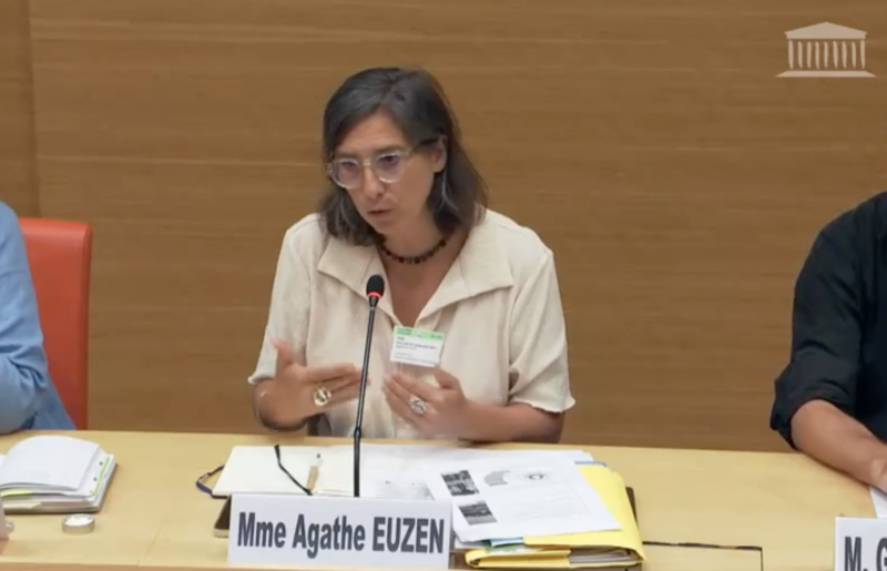 Agathe Euzen, deputy director of CNRS Ecology & Environment, speaking to the French National Assembly's committee of inquiry in September 2023 on the impact of pesticides on human health. 
