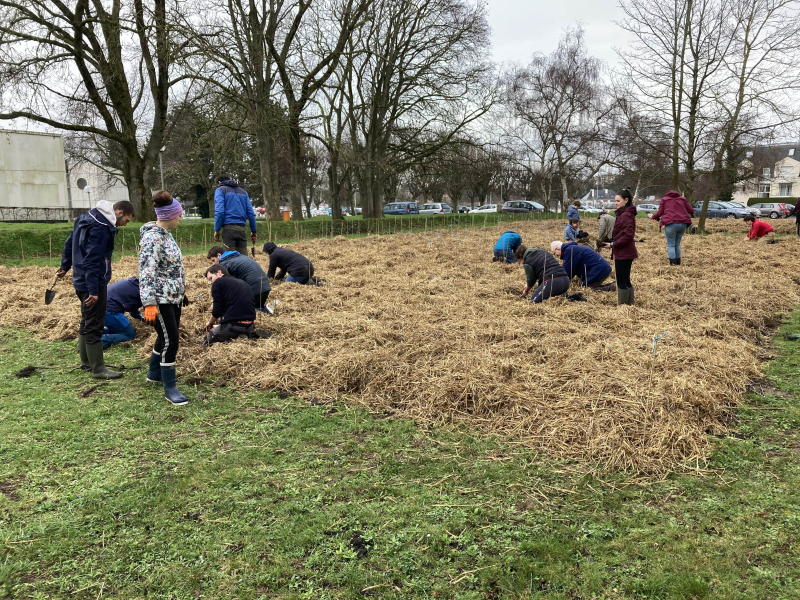 Tree planting in front of the Continental and Coastal Morphodynamics Laboratory in Caen.