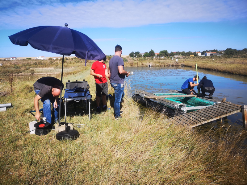 Une équipe scientifique au bord d'un bassin dans le marais de l'Houmeau
