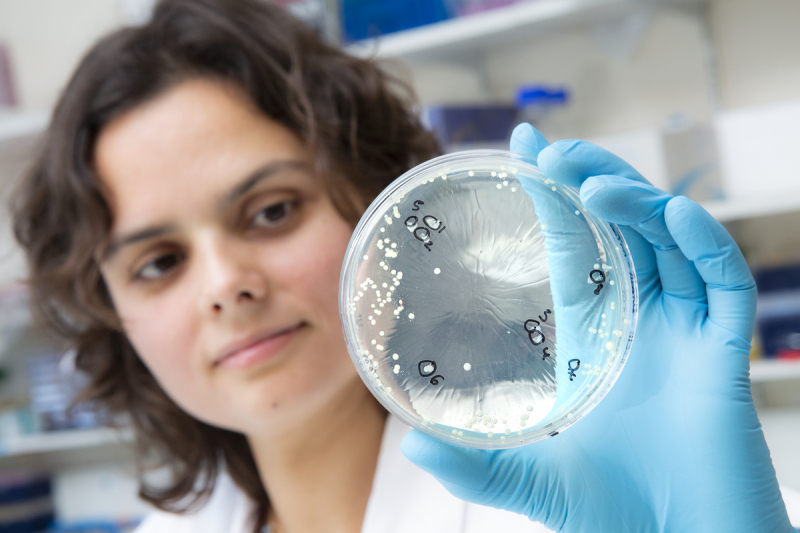 Une biologiste étudie les parasites responsables du paludisme à l'aide de bactéries