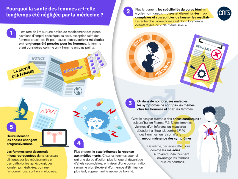 infographie : "Pourquoi la santé des femmes a-t-elle longtemps été négligée par la médecine ?"