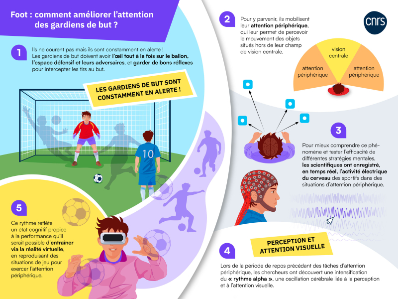 infographie sur les performances des gardiens de but