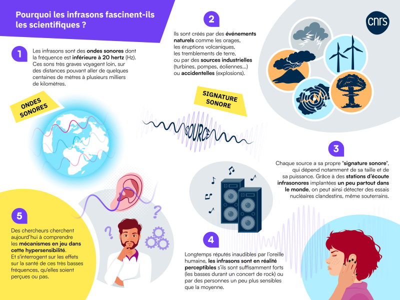 infographie sur les infrasons