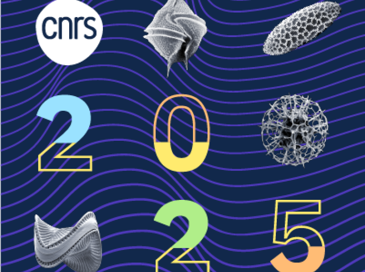 Carte de voeux 2025 version carrée