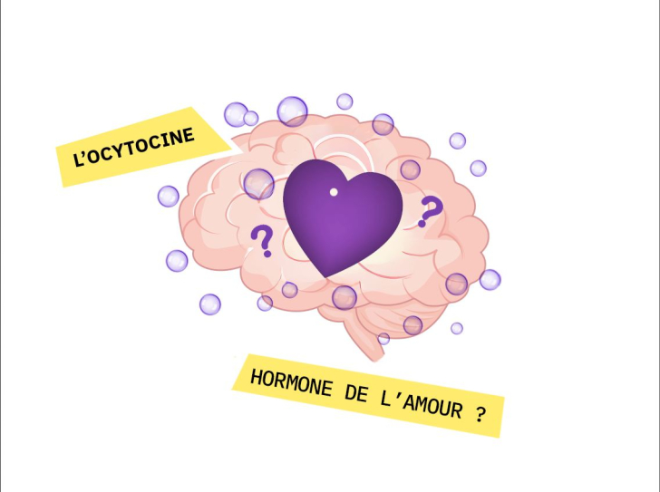 Une illustration de coeur 