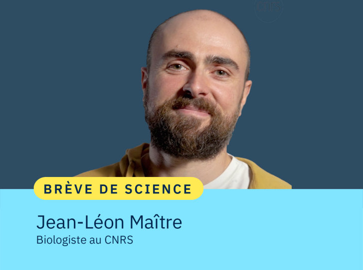 Portrait de Jean-Léon Maître biologiste CNRS