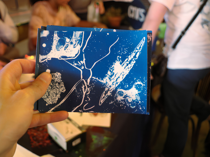 Un cyanotype réalisé lors de l'atelier "La petite fabrique de l'imaginaire"