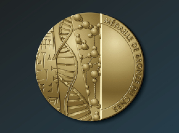 Médaille de bronze du CNRS