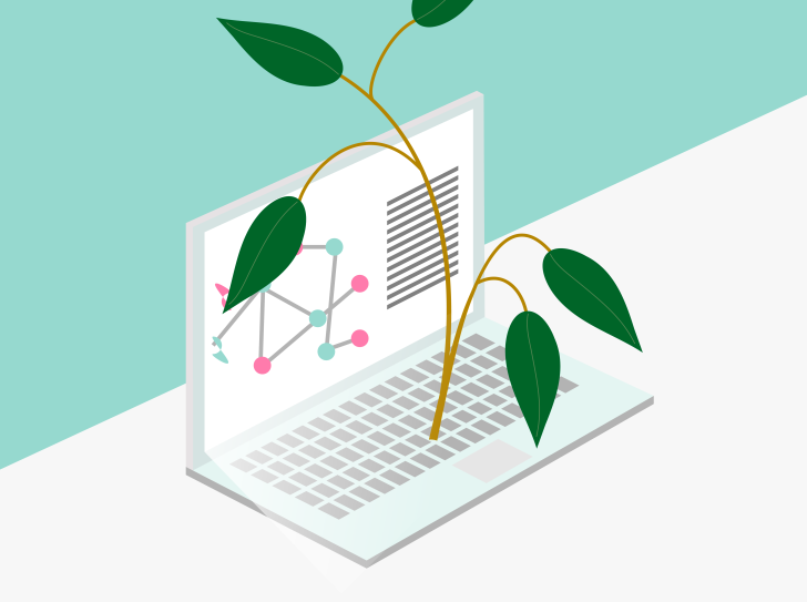 Une plante sortant du clavier d'un ordinateur portable