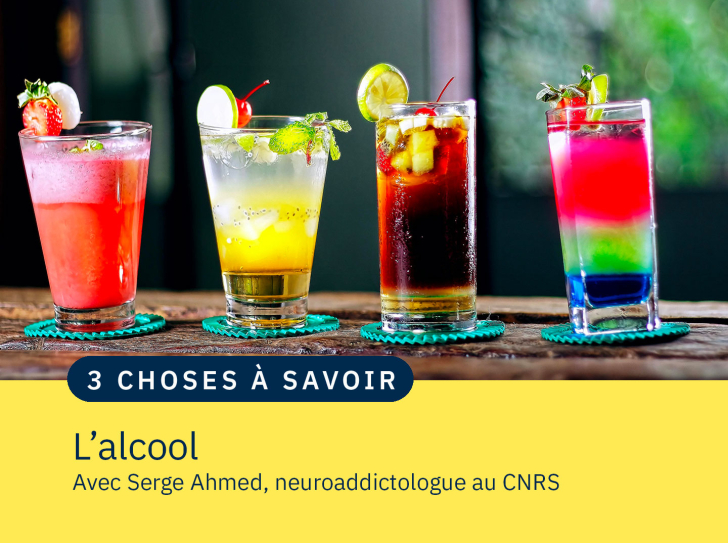 4 verres à cocktail colorés, alignés sur un comptoir
