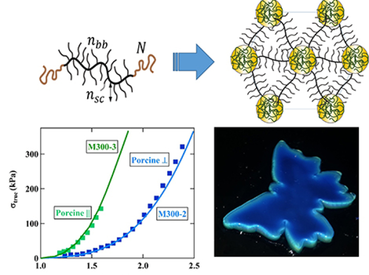 Polymers that mimic chameleon skin