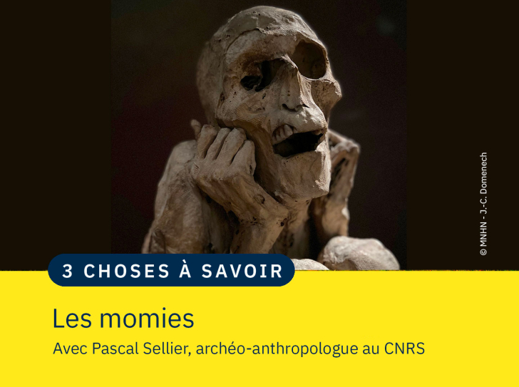 photographie d'une momie sur fond noir