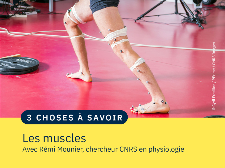 Des jambes couvertes d'électrodes